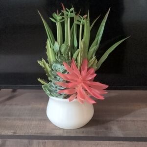 Artificial Succulent Arrangement in White Pot